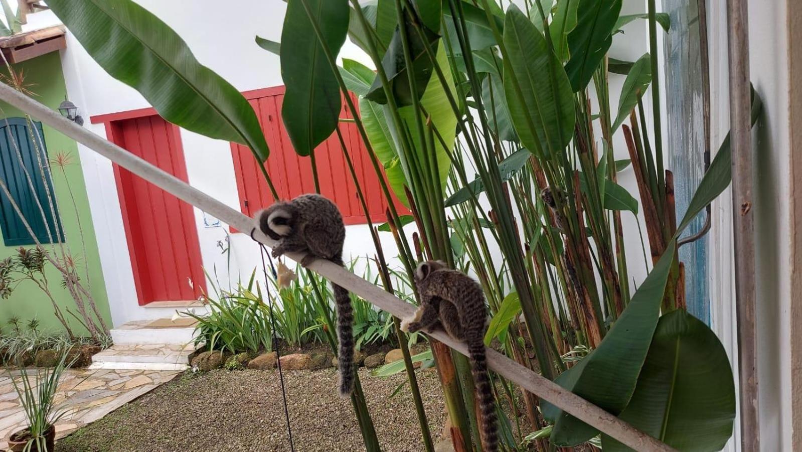 Quinta Brasilis Boutique Hotel Araquari Eksteriør bilde